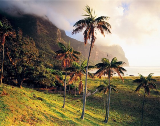 Image: Lord Howe Island